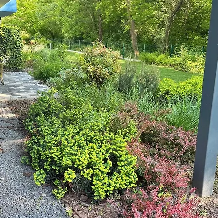 Fuzliget2 - Balaton Bliss *