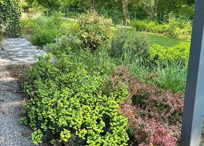 Fuzliget2 - Balaton Bliss *